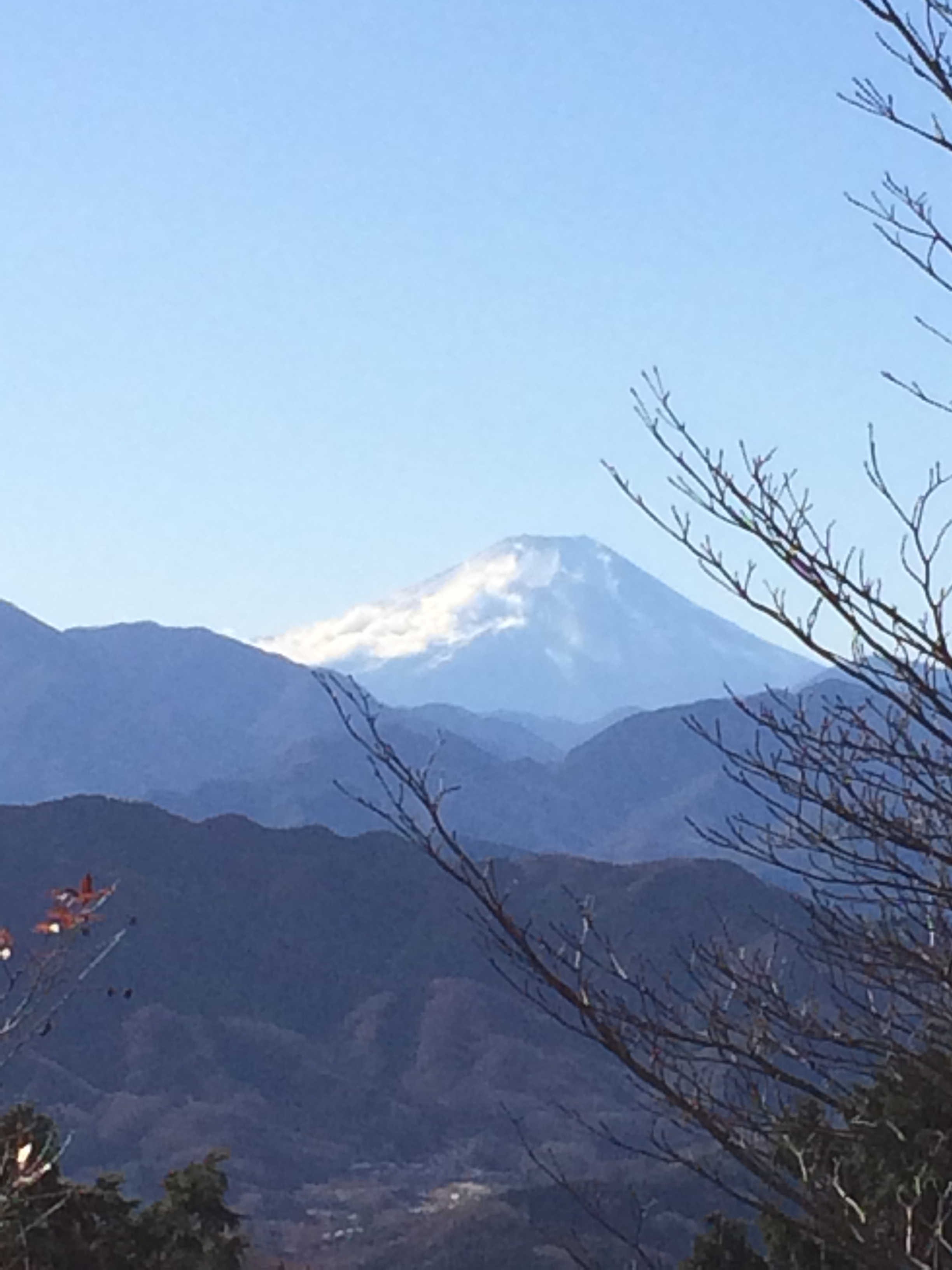 晩秋の高尾山　富士山を望む